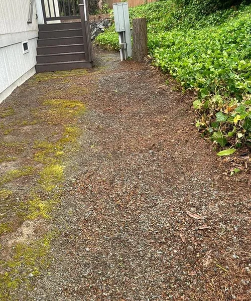 Landscaping Maintenance in Ballard 